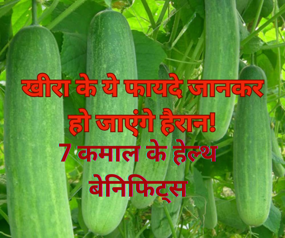 खीरा के ये फायदे जानकर हो जाएंगे हैरान!