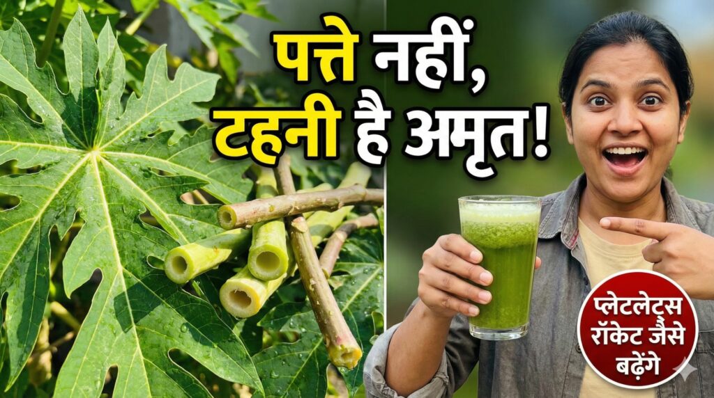 Papaya Stem Benefits